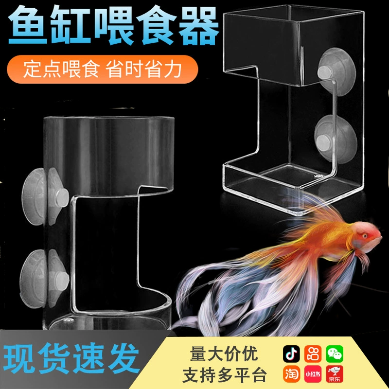 Корм для аквариумных рыб и черепах, плавающий кормоискатель, подвесной кормоискатель, плавающий и тонущий кормоискатель B