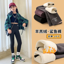 儿童冬新款加绒加厚打底裤女童高腰鲨鱼裤中大童羊羔婴儿绒芭比裤