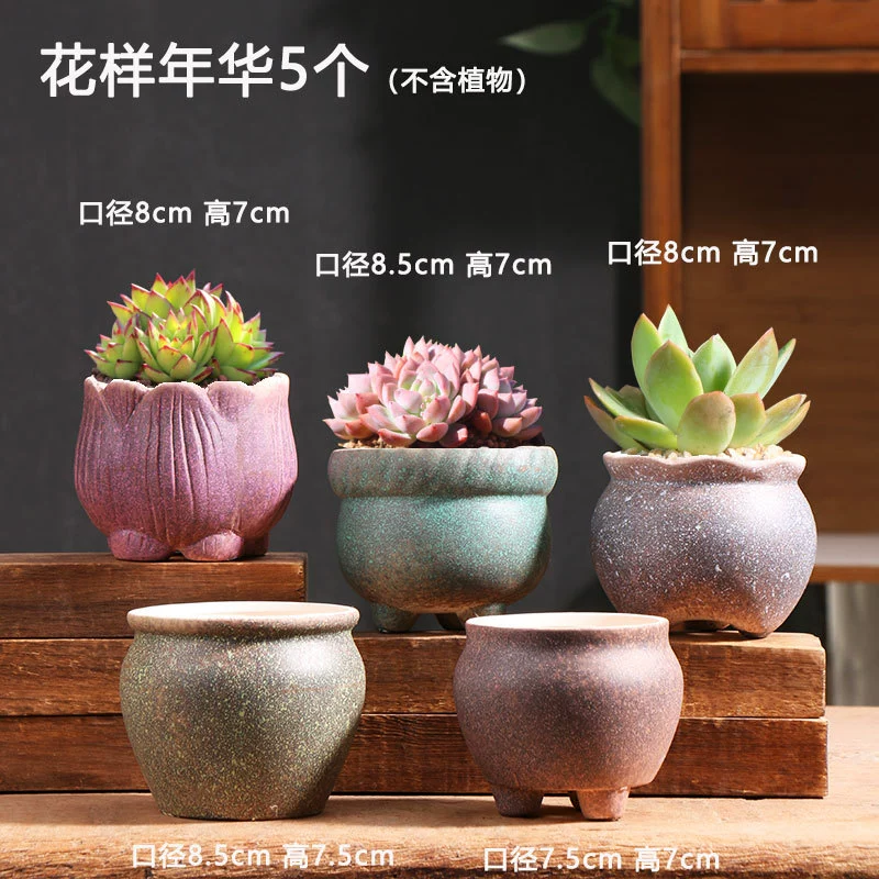Creative Ceramic Flower Pot, Handmade Factory Direct, Assorted Decorative Designs, Small 7–10 cm