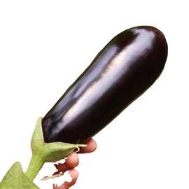 茄子新鲜长茄子紫农家自种长线大黑嫩现摘非圆茄蔬菜速卖通代发