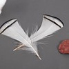 Factory feather wholesale natural color feathers DIY Dream Catcher color feathers accessories jewelry