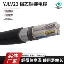 YJLV22�z�b�Xо�����|������ϩ�^���m��춵���ֱ��S�V���