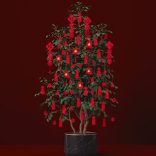 ����С����b��������Ԕ[�����2026�R�����ֲ���辰���ڵ��