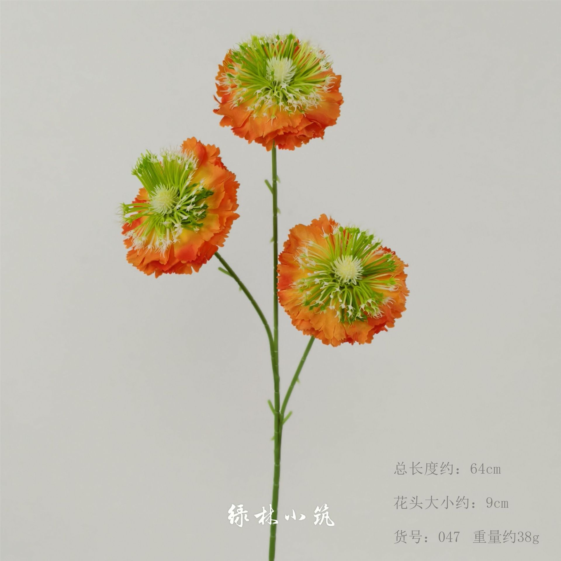 품목번호 047-동충하초-오렌지