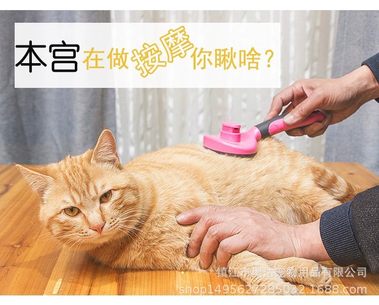 详情1.jpg