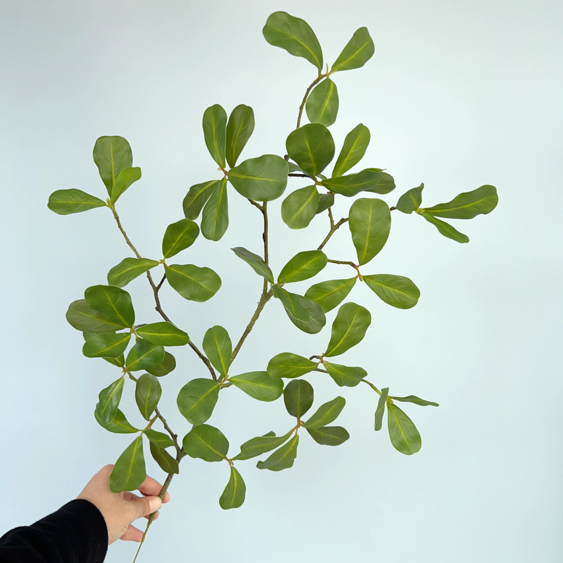 Симулятор 3D Короткая ветвь листьев орханы зеленые растения цветочные композиции