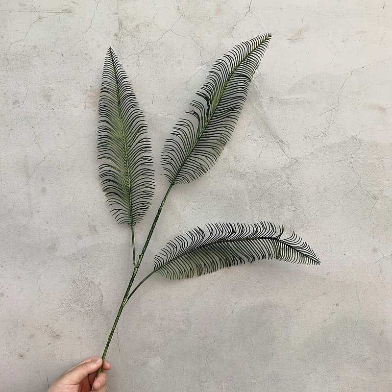 깃털