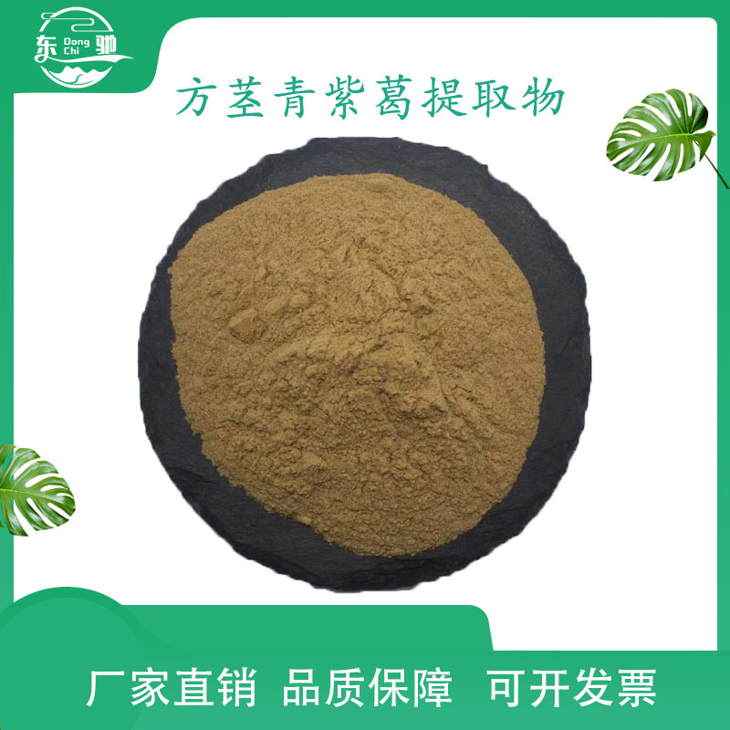 方茎青紫葛提取物  方茎青紫葛粉 规格 东驰生物