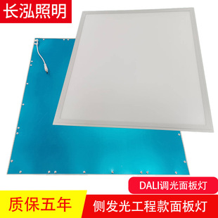 Dali Dimming Panel Light Flat Light Embedded Side Light Square 6060 Ceiling Light Integrated Ceiling Flat Light