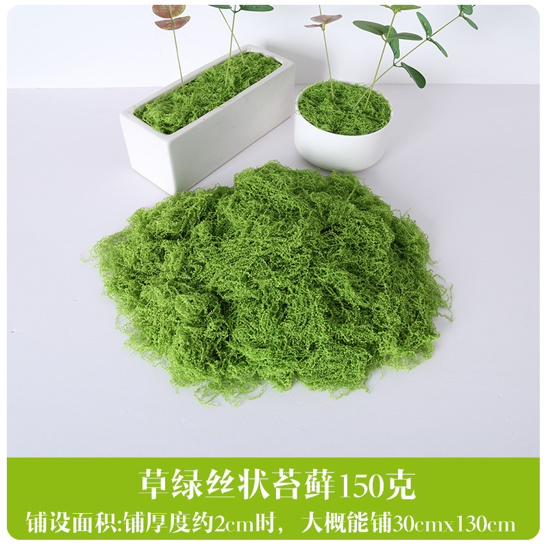 Musgo Fibroso Fruta Verde - 150g