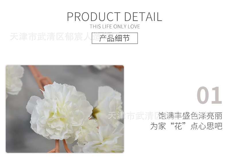 详情_09.jpg