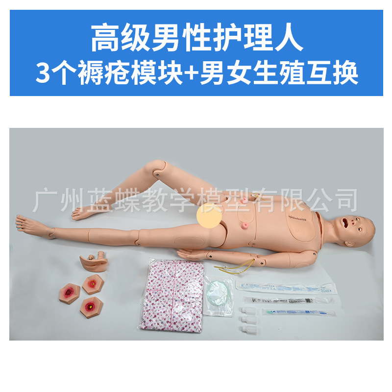 ���廤����ѵ ��Ů����ҽѧ ��ʿ������ѵ ��ɩ����֪ʶ����ģ��