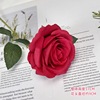 Realistic decorations, layout for St. Valentine's Day, jewelry, roses, wholesale