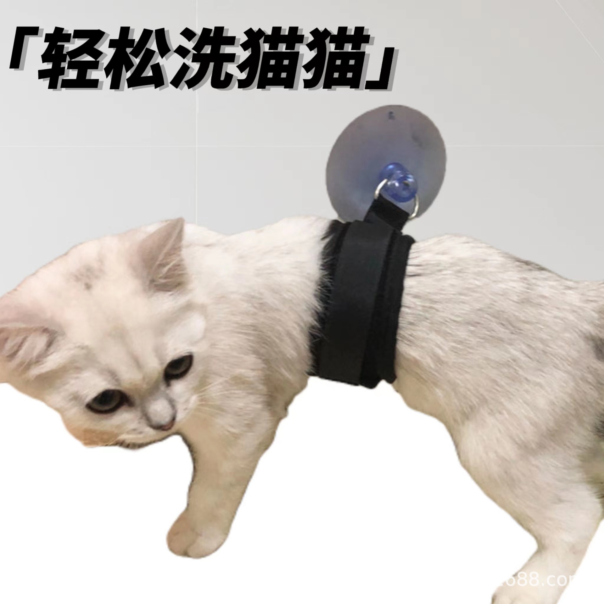 82032d2ea8ca453130c411f02a1c5a