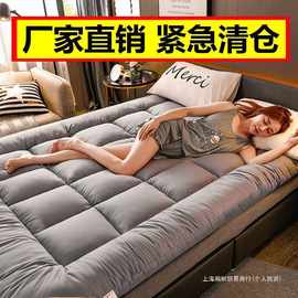 床垫子加厚10家用睡垫宿舍软床垫冬季保暖垫被褥子床褥垫可直营