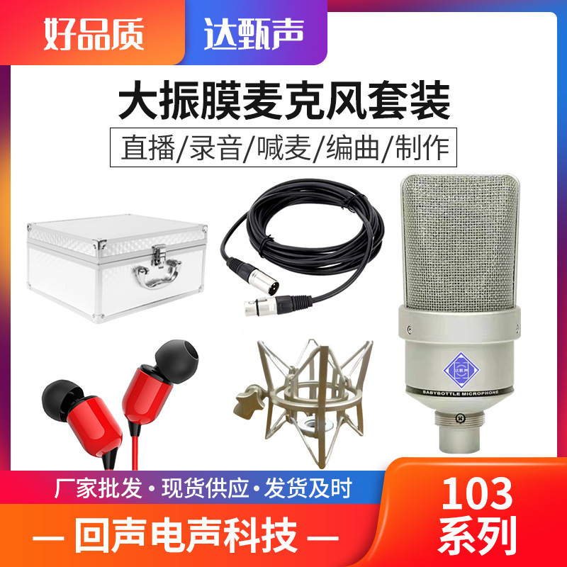 공장 재고 전문 마이크 하트 모양의 포인팅 픽업 마이크 업그레이드 프로스트 마이크 처리