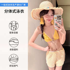 新款比基尼泳衣女士三件套甜心辣妹女纯欲网红度假小胸显瘦泳装