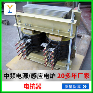 Manufacturer Customized Filter Reactor Dry Current Limiting Reactor Reactive Power Compensation Capacitor Current Transformer