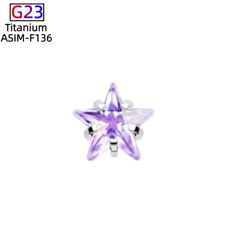 G23 Titanium Star Zircon Ear Cartilage Stud Lip Nail Piercing Jewelry Fashion Ear Accessories detail image 15