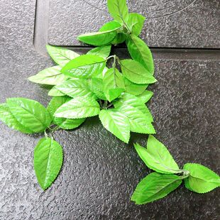 Nanyang Zhaojing Source Manufacturer Wholesale Artificial Flowers, Green Leaves, Artificial Flowers, Bone Leaves, Indoor Decoration, High Simulation
