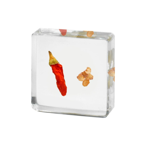 3.8cm small cubes chili pepper