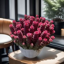 �t���X����ɫ���^����Ⱥ���������ֲ���X�����҃����־Gֲ��