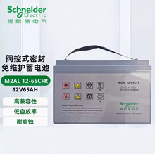 APCʩ�͵��U����S�o��늳�M2AL12-100SFR//38/65/75AH/120
