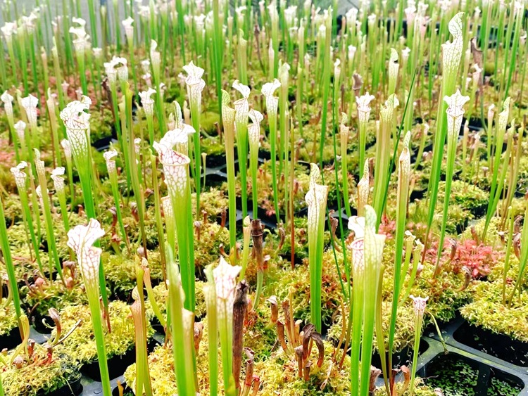 微信图片_20210520111610