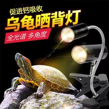 乌龟晒背灯加热灯促进钙吸收太阳灯晒龟灯uvb灯龟缸uva全光谱保温