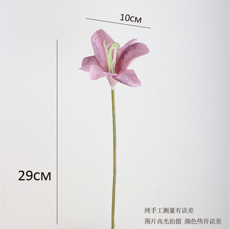 Purple single about 29cm