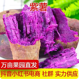 其他水果;柑桔;梨