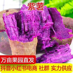 ����ɳ�جF�����_�m����������ɽ�����߲���ɫ�عϷ�ŴԴ�^���S