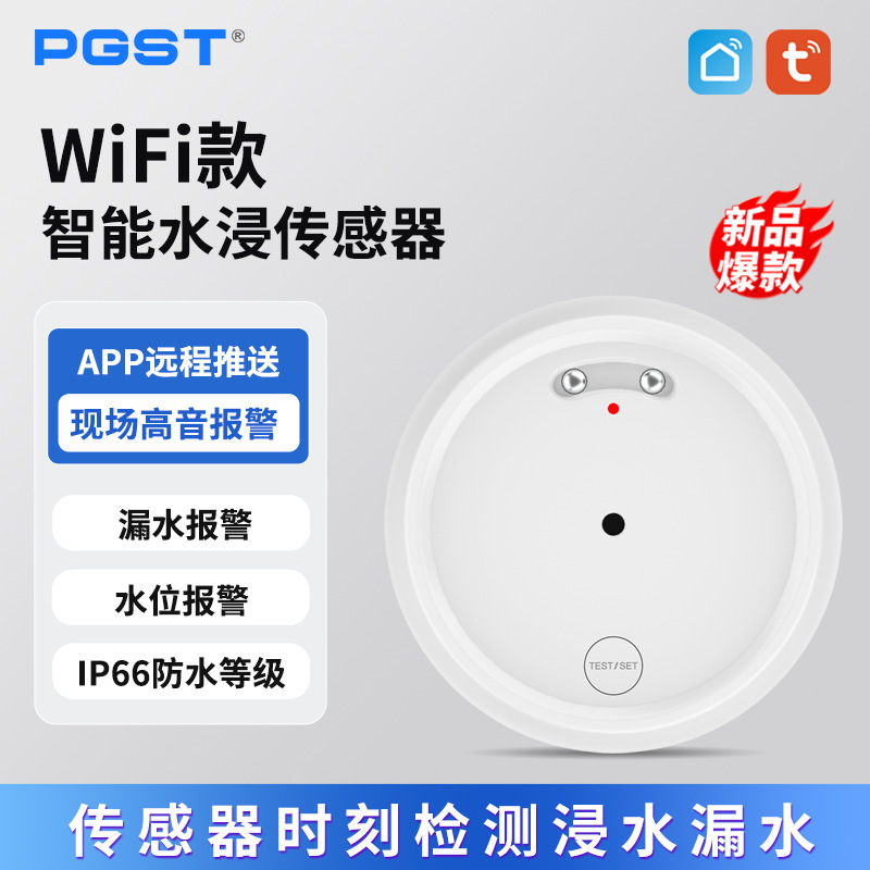 Cross-Border Graffiti Wifi Water Leak Alarm Home Accurate Overflow Tuya Remote Water Sensor Water Immersion Alarm