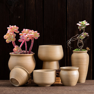 ���ջ����մ�ԭ�����Ɵo�Զ���ֲ�ﻨ�����s�������ԾGֲС�ڏ���