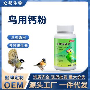 �B���}���W�^�a�}���}�B�I�Bȫ���B�����Ʒ���ӌ������P���B