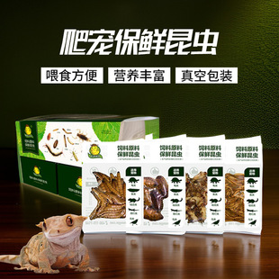 ���x���r�x�S���x�����x��űȁ��^�p�~��������،m�������~ʳ