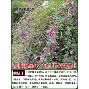 o¹ľ֦ӷNS܊R໨ľm֦lyϚgo·N