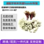天语铃木无损低音喇叭线