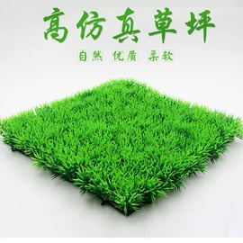 造景/装饰;其它水族用品;鱼捞及配件