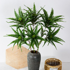 仿真植物單支2叉金毛狗脊葉蕨草金狗脊葉子仿真樹葉綠植造景插花