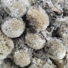 ���؅^ɽ؛��ѩɏ��50-1000�� �ɻ� ����ɽ؛���خa