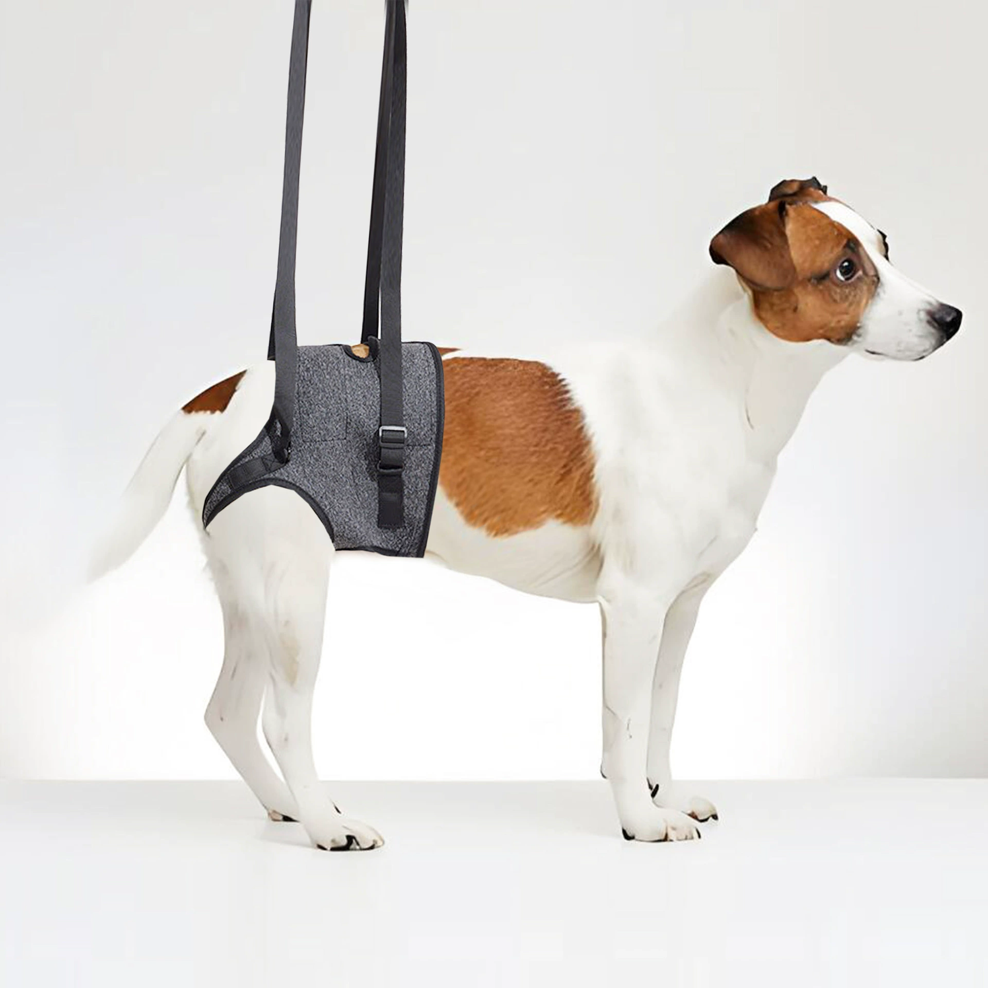 Трансграничные горячие продажи товаров для домашних животных