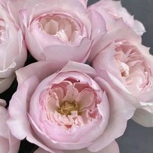 3LǤϼ ¼  ༾_łȰسGл