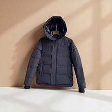 Macmillan �߰汾������޷�17����ô�п˼Ӻ���Ů������3804M