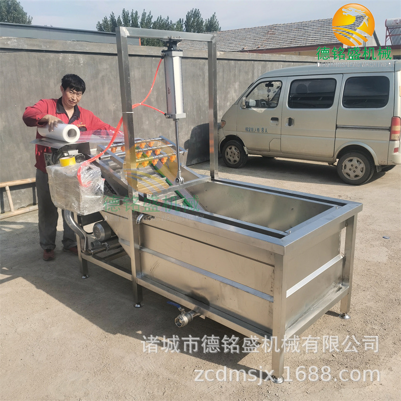 制作鳗鱼罐头机械 清洗鱿鱼爪设备 德铭盛鸡爪带提升清洗机