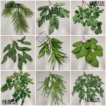 ��c�Gɫϵ����Y������b廨�������~�������~�O���~�Gֲ