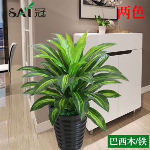 ֲ��٘��辰���;Gֲ�����҃ȿ͏d�Ƶ��b[�O����ľ�F