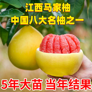 �����R���֘������Ә�t������޽ӹ������V�S���Ե��Ԯ���Y��