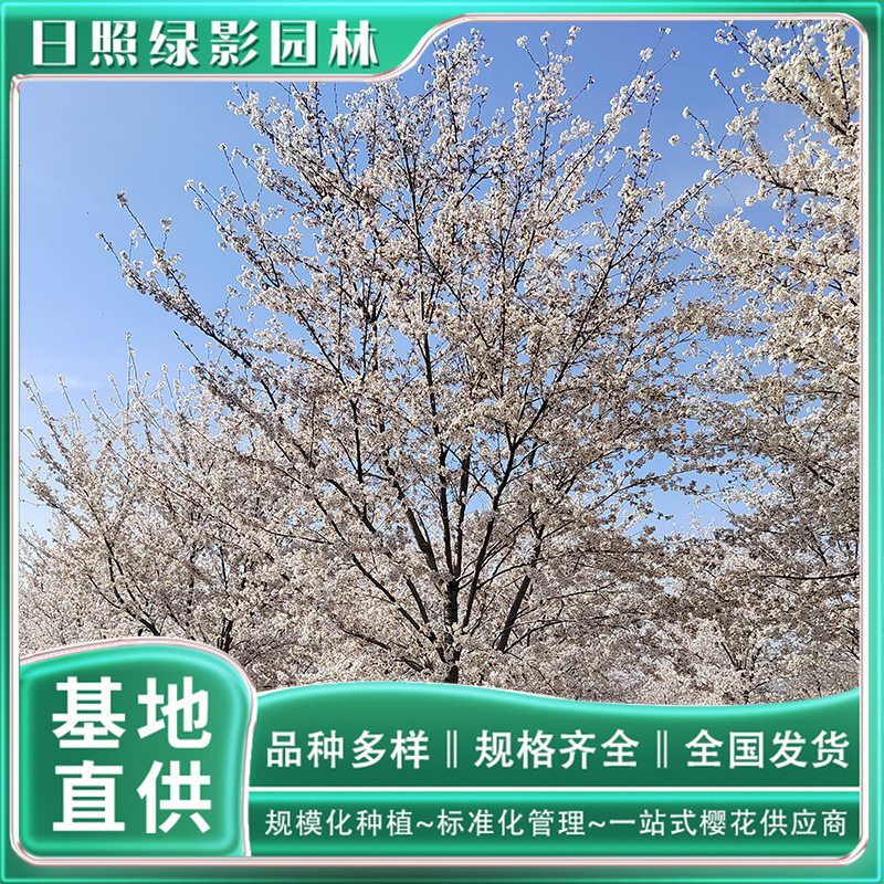 微信图片_20230818145547 副本.jpg