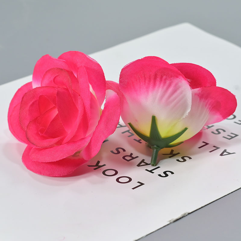 Rosa